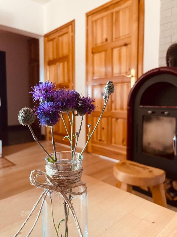 Hill Durmitor Appartement Žabljak Buitenkant foto