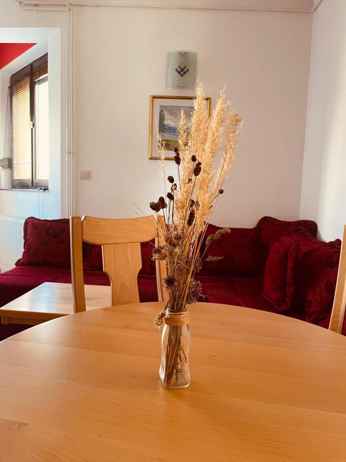Hill Durmitor Appartement Žabljak Buitenkant foto